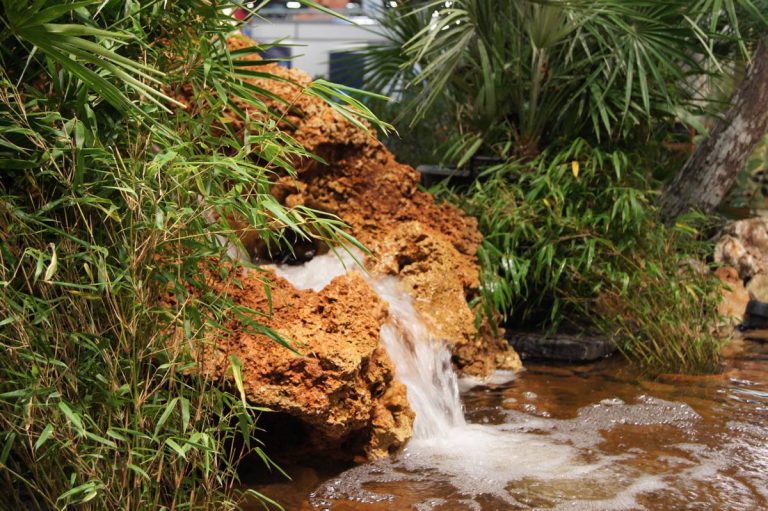 Création de bassins avec cascade BORDEAUX 33